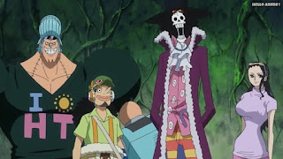 ワンピースアニメ ゾウ編 771話 麦わらの一味 | ONE PIECE Episode 771