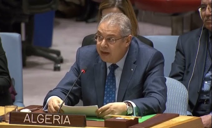 Argelia iniciará gestiones para lograr una representación en el Consejo de Seguridad de la ONU.