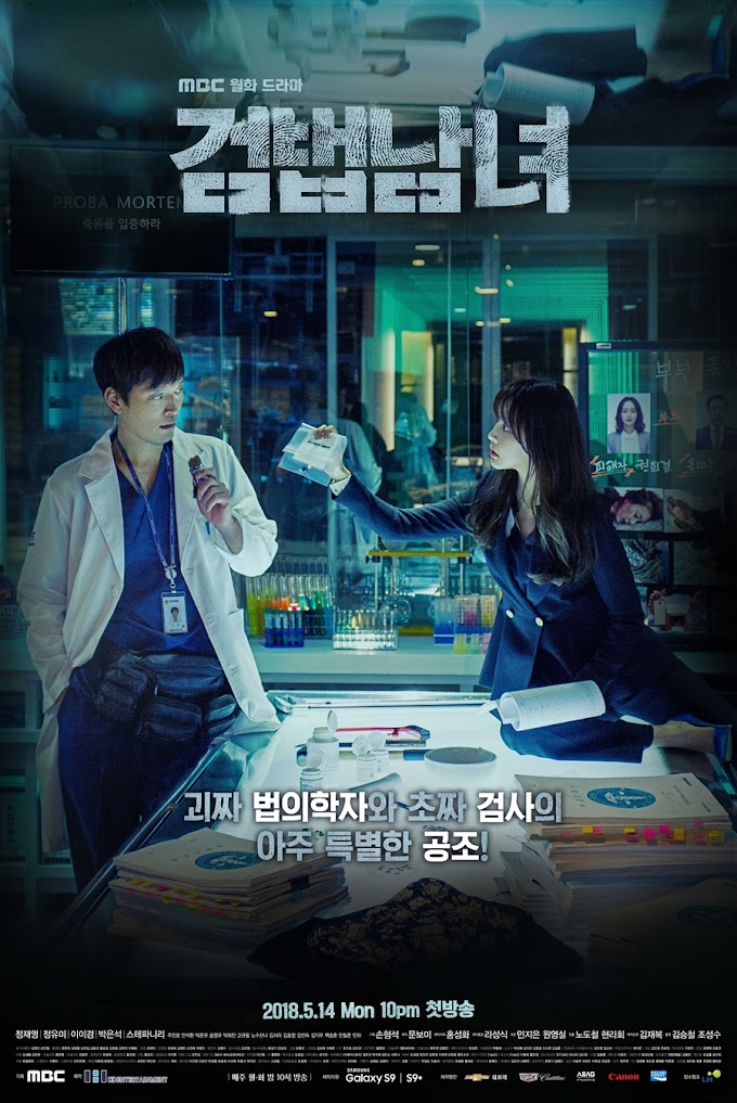 Sinopsis Investigation Couple/ Partners for Justice episode 1- 32 End 