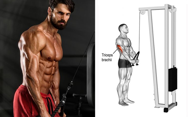 The 6 Most Effective Triceps Exercises