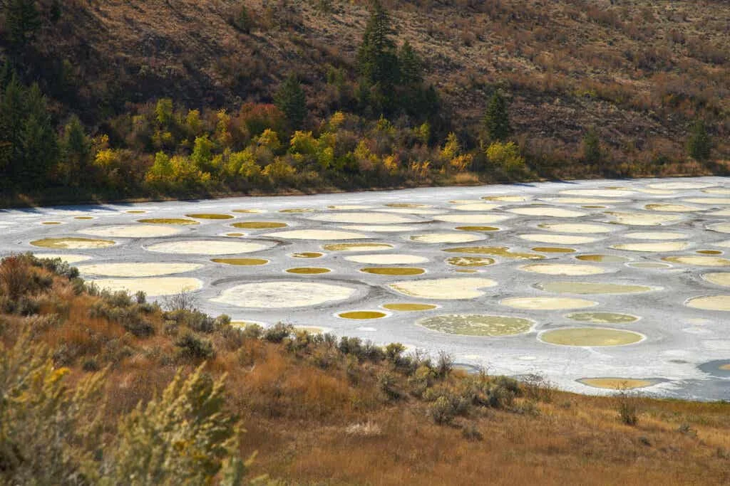 Spotted Lake