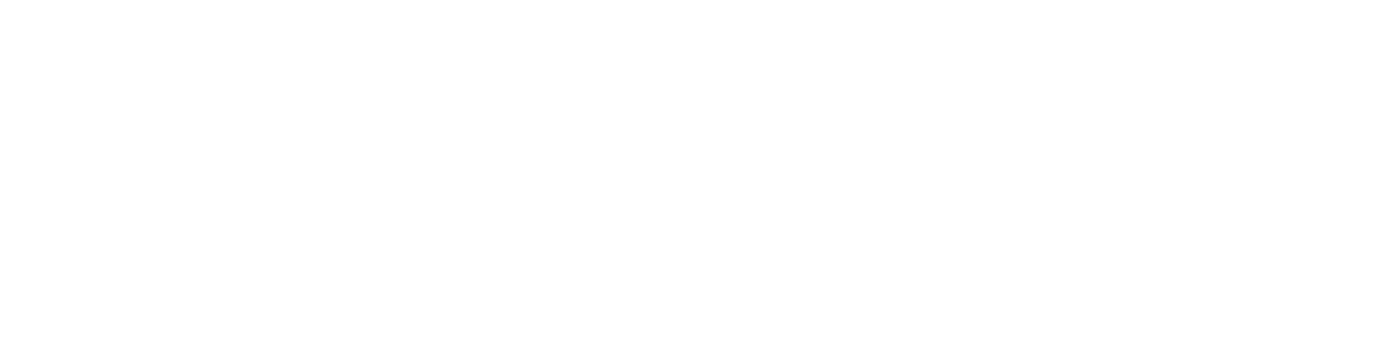 বুলেট সাজেশন