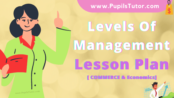 Levels Of Management Lesson Plan For B.Ed, DE.L.ED, BTC, M.Ed 1st 2nd Year And Class 12th Business Studies Teacher Free Download PDF On Mega School Teaching And Practice Skill In English Medium. - www.pupilstutor.com