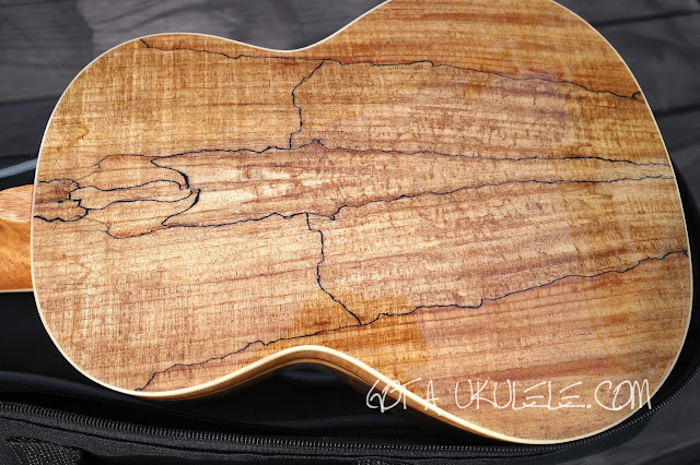 Blackwater Spalted Maple Tenor Ukulele back