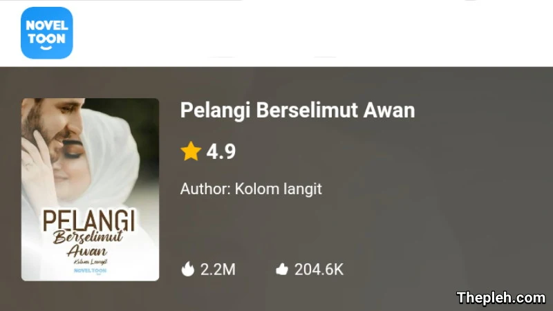 Novel Pelangi Berselimut Awan Gratis