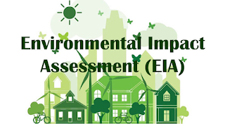 Environmental Impact Assessment (EIA)