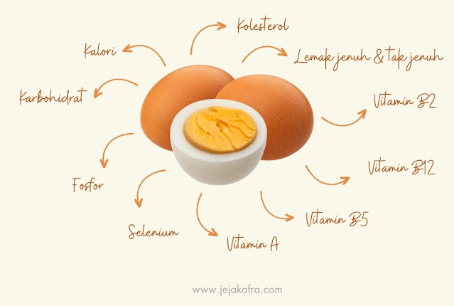 Kandungan Telur Rebus