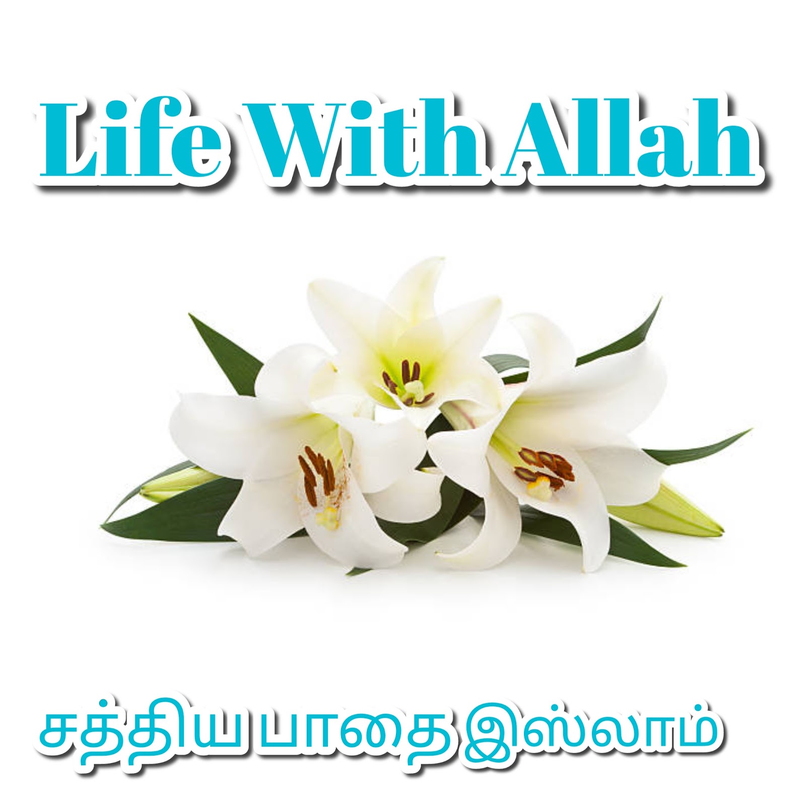 சத்திய பாதை இஸ்லாம் Life With Allah