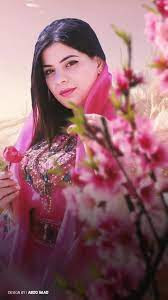 جودي الليبيه