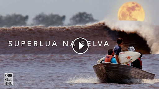 Superlua cria onda rara no meio da selva brasileira