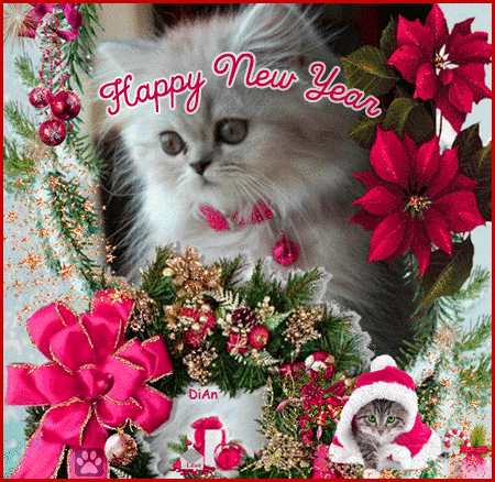 Animated Cat GIF • Happy New Year 2022 to all kitties and cat lovers all over the World [2/6]