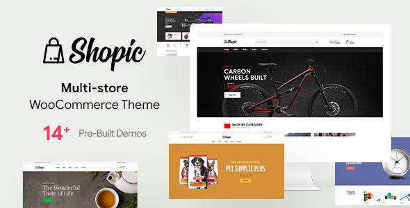 Shopic WordPress Theme