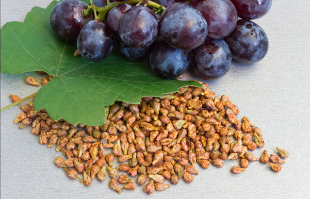 Grape Seed for Varicose Veins