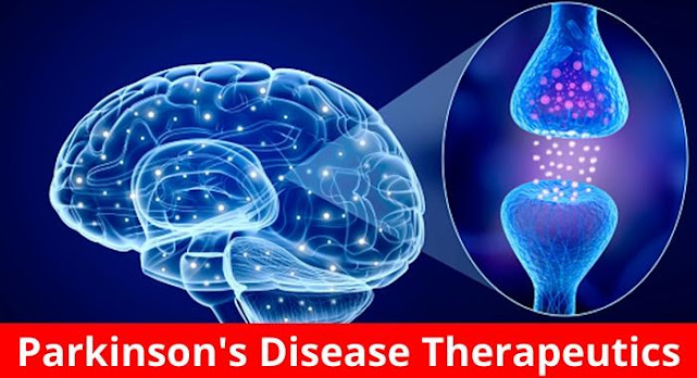 Parkinson's Disease Therapeutics