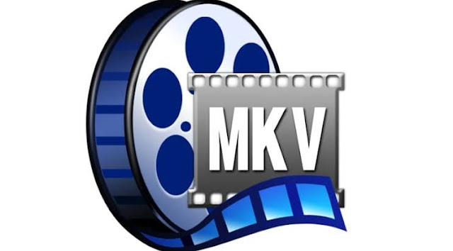 download-mkv-player