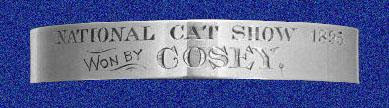 Collar de plata para el gato Cosey