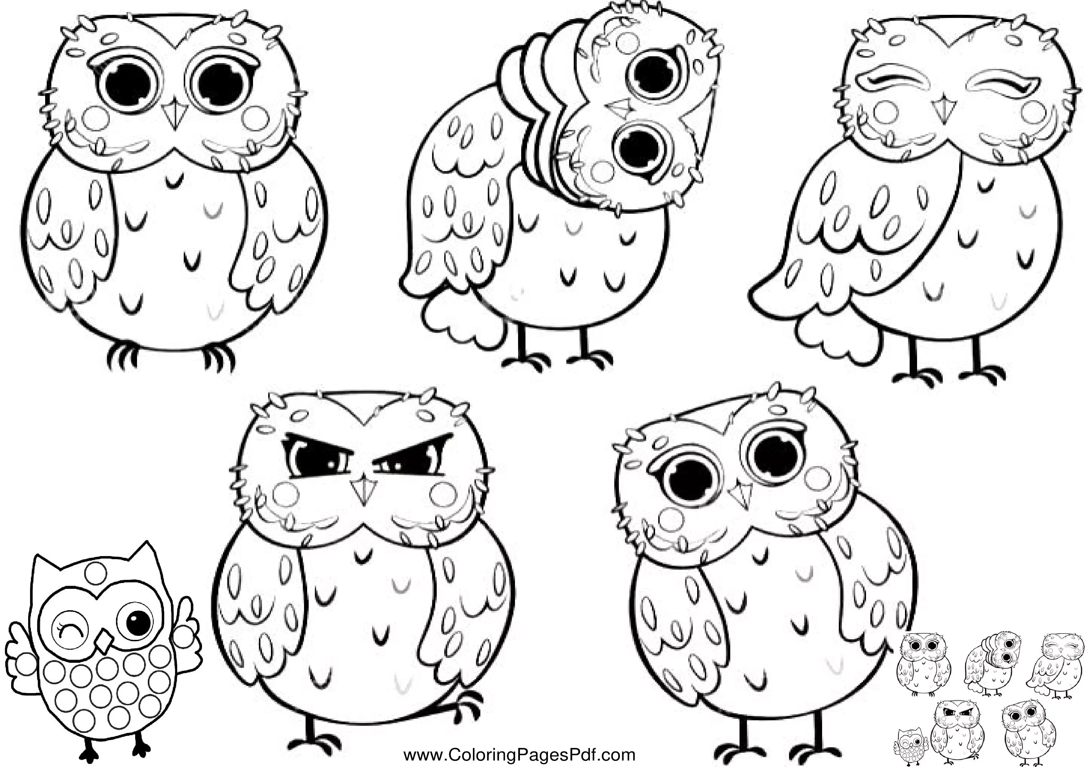 Owl coloring sheet pdf