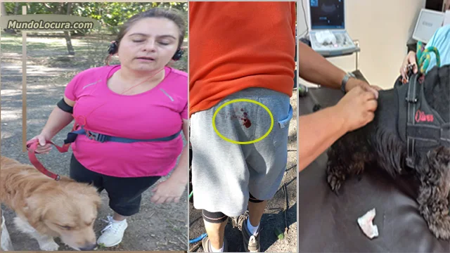 El Salvador: Denuncian a mujer que dejó suelto a su perro para atacar a una persona y a otro perro en Parque Bicentenario