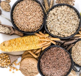 The cereal can be recognized in the grain structure (appears in the center of the seed.