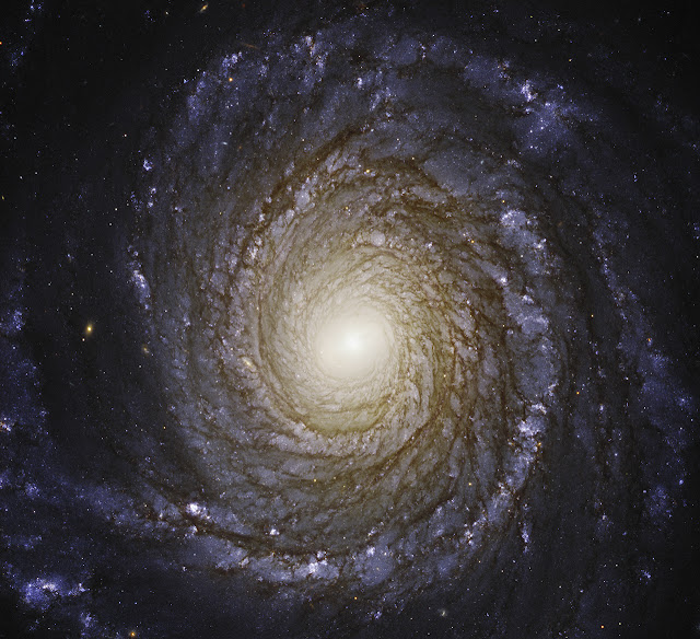 NGC 3147 — спиральная галактика