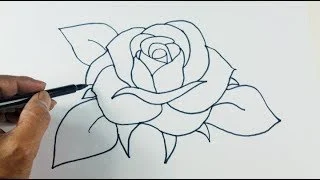 Flowers Drawing - 450+ Flower Pictures Download Best of 2023 - fuller chobi - neotericit.com