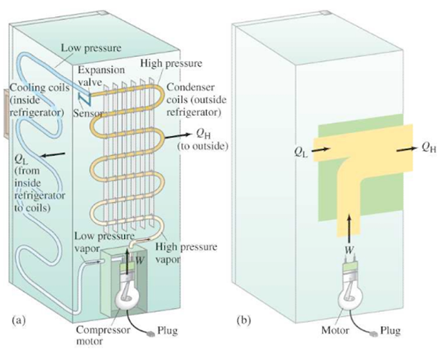 Illustration of cooling process in domestic refrigerator