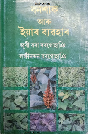 বনশাক আৰু ইয়াৰ ব্য়ৱহাৰ