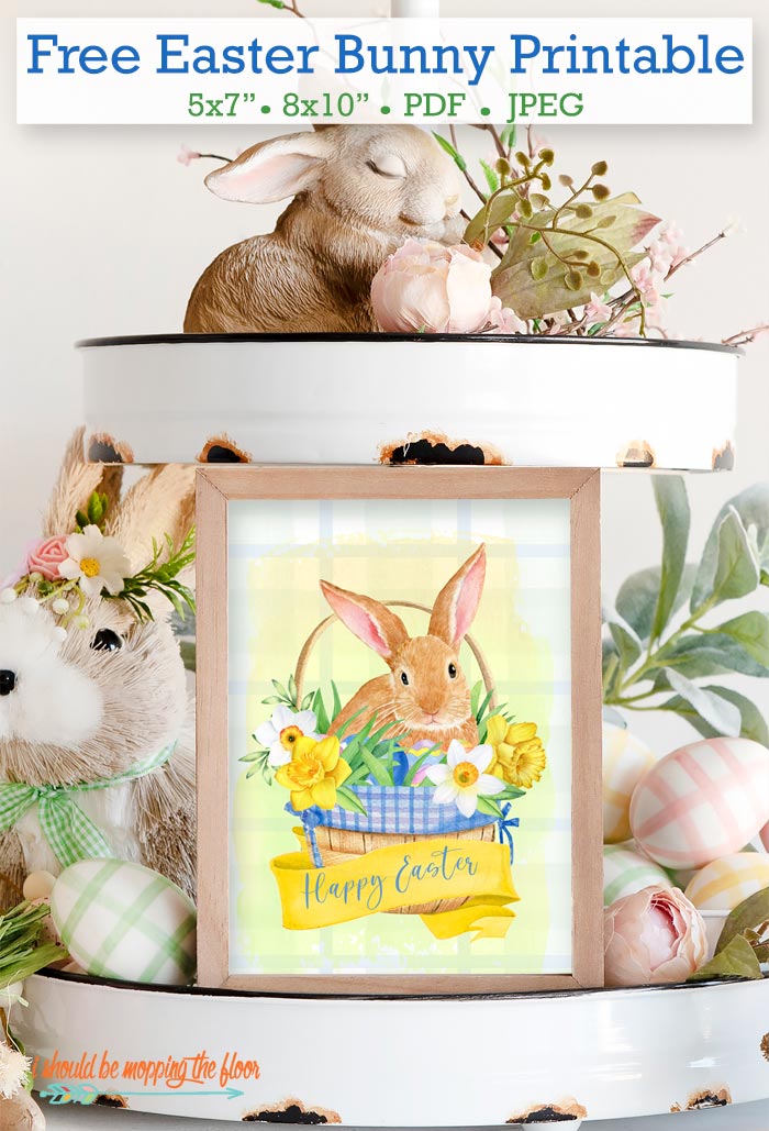 Free Printable Easter Bunny in a Basket