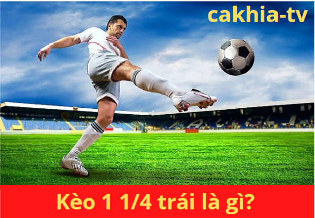 Kèo 1 1/4 trái là gì? Hướng dẫn đọc hiểu kèo 1.25 hay kèo 1-1.5