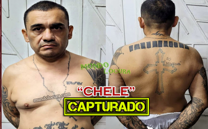 El Salvador: PNC captura a alias "Chele": Pandillero de la MS iba a salir libre tras cumplir condena