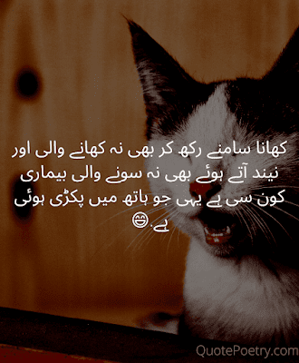 funny quotes urdu