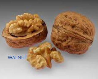 WALNUT