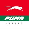 LPG Key Account Manager at Puma Energy