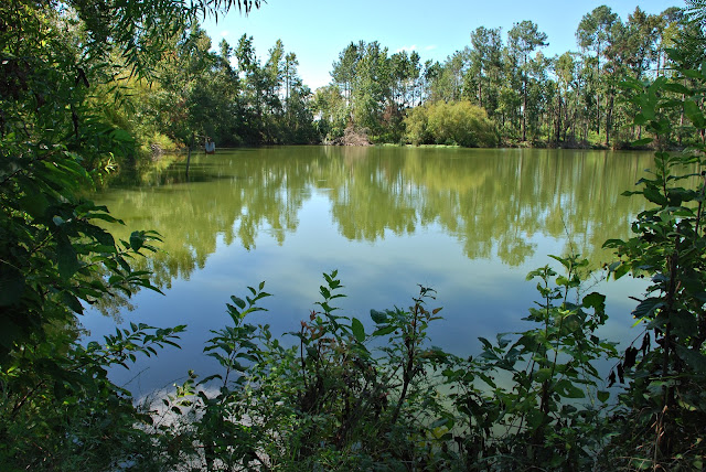 Earle May Park