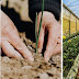 सेंद्रिय शेतीचे फायदे जाणून घ्या (Organic Farming Benefits