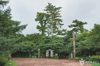 비자림