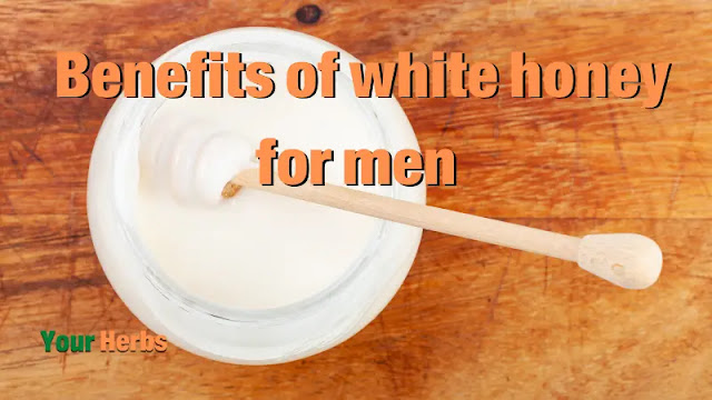 The many benefits of consuming white honey on human health and its ability to prevent a large number of diseases, let us discuss in this article the most important benefits of white honey for men and their sexual health.