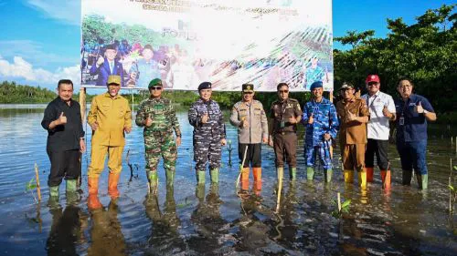 Tanam Mangrove Serentak Seluruh Indonesia, Untuk Lingkungan yang Lebih Baik Gubernur Sumbar Minta Semua Pihak Ikut Jaga Dan Rawat