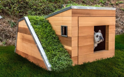 5 Great Tips On Building A Dog House - Ratinah