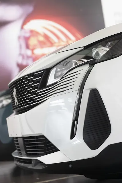 frameless grille peugeot 3008