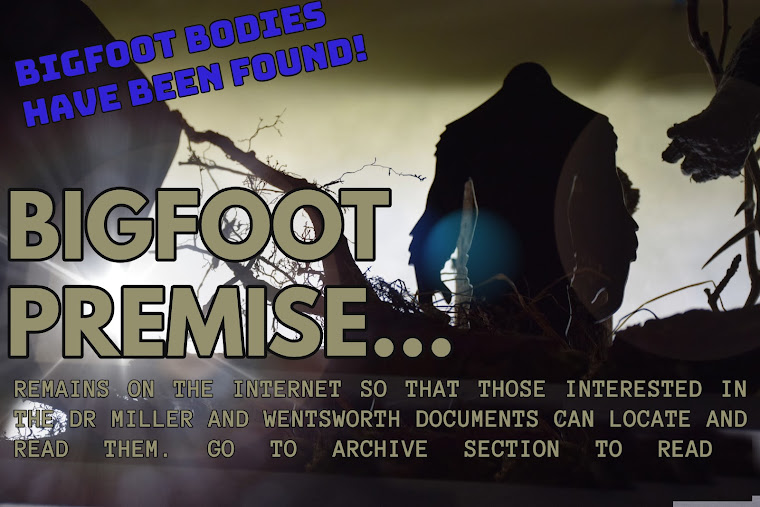 Bigfoot Premise