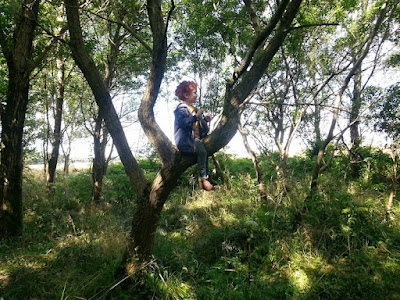 Young boy in tree
