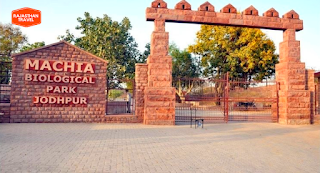 Machia Biological Park: A Prime Tourist Attraction in Jodhpur