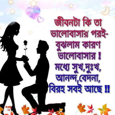 তীব্র ভালোবাসার কবিতা ও এসএমএস love shayari photo love sms bangla | sad bangla shayari