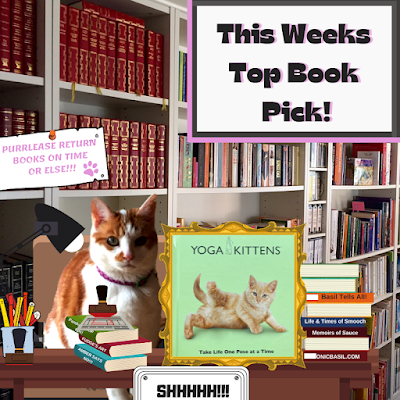 Amber's Book Reviews - What Are We reading This Week ©BionicBasil® Yoga Kittens