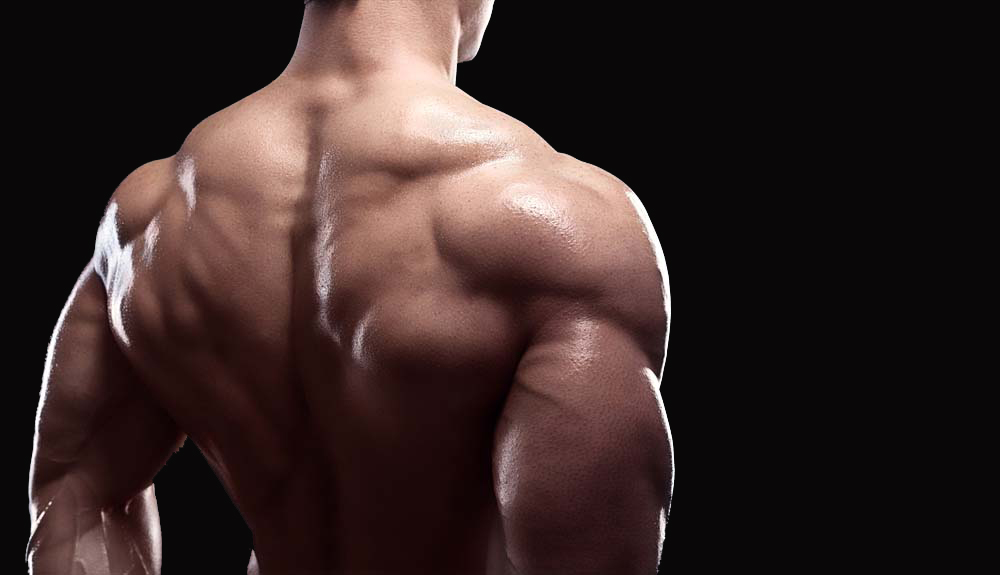 Top 6 Back Exercises