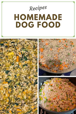 Homemade dog food vet approved