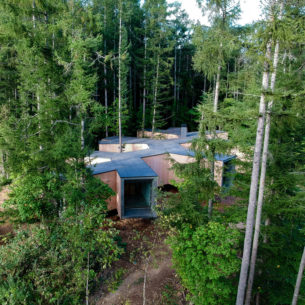 Casa en el bosque por Florian Busch Architects