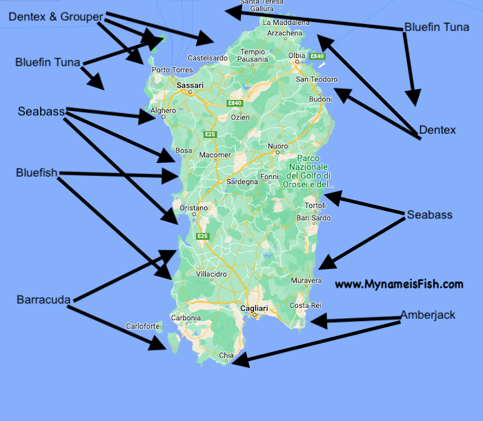 Sardinia fishing map and fish spots