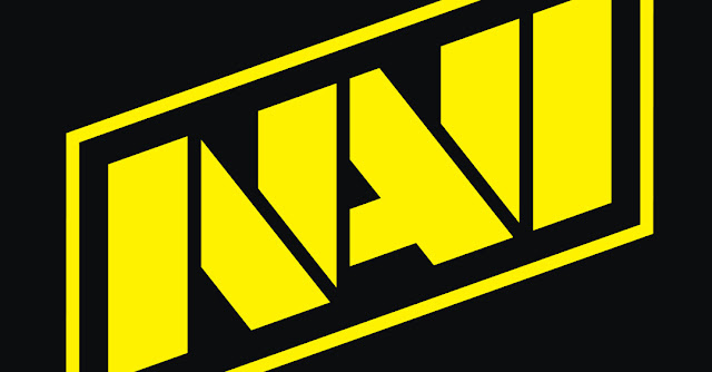 NAVI logo
